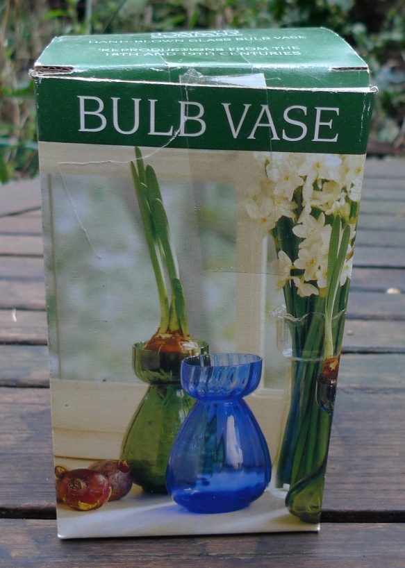 two's company hyacinth vase box